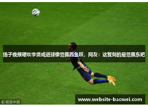 扬子晚报硬吹李贤成进球像范佩西鱼跃，网友：这复刻的是范佩东吧